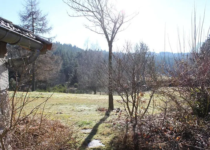 Holiday home D'odile Le Chambon-sur-Lignon